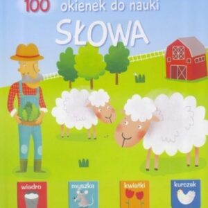 100 okienek do nauki. Słowa
