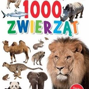 1000 zwierząt