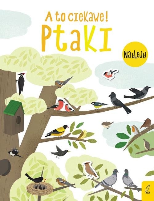 A to ciekawe! Ptaki
