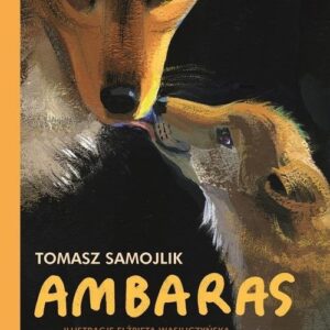 Ambaras
