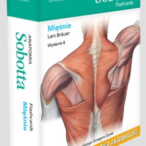 Anatomia Sobotta Flashcards Mięśnie. Łacińskie mianownictwo anatomiczne
