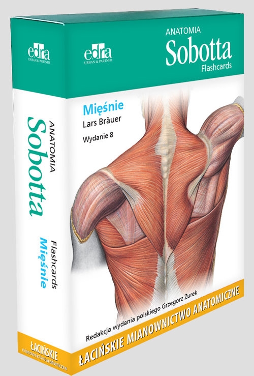 Anatomia Sobotta Flashcards Mięśnie. Łacińskie mianownictwo anatomiczne