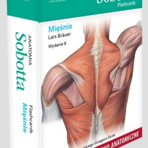 Anatomia Sobotta Flashcards. Mięśnie. Polskie mianownictwo anatomiczne