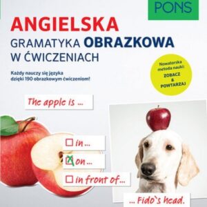 Angielska gramatyka obrazkowa w ćwiczeniach