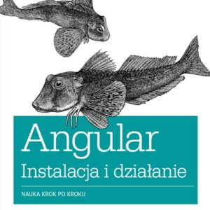 Angular instalacja i działanie. Nauka krok po kroku