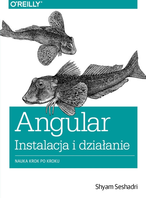 Angular instalacja i działanie. Nauka krok po kroku