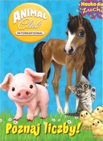 Animal Club Nauka dla zucha nr 2 Pozna liczby