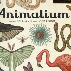 Animalium