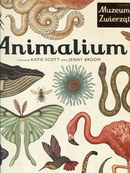 Animalium