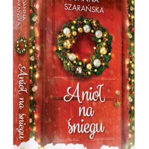 Anioł na śniegu