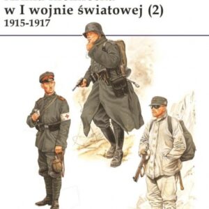 Armia niemiecka w I wojnie światowej (2) 1915-1917