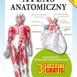 Atlas anatomiczny. 3 plakaty gratis