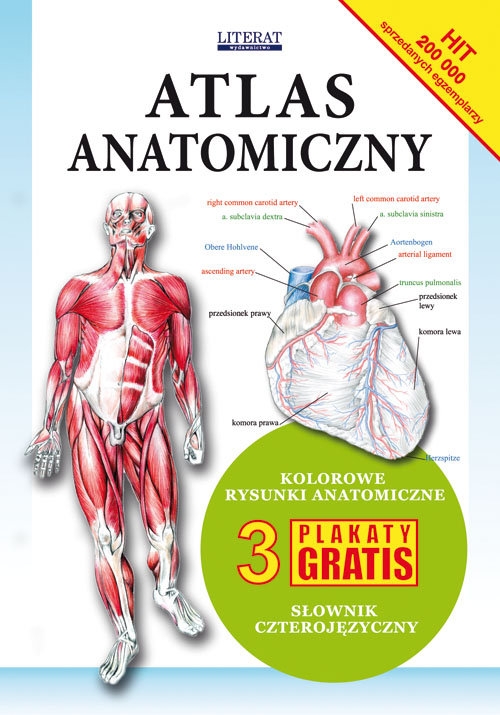 Atlas anatomiczny. 3 plakaty gratis