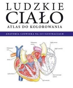 Atlas do kolorowania. Ludzkie ciało