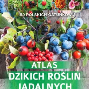 Atlas dzikich roślin jadalnych. 150 polskich gatunków