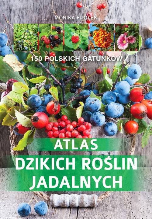 Atlas dzikich roślin jadalnych. 150 polskich gatunków