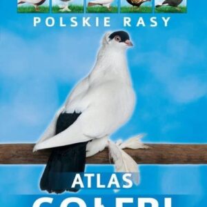 Atlas gołębi Polskie rasy