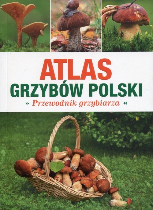 Atlas grzybów Polski. Przewodnik grzybiarza