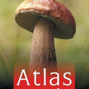 Atlas grzybów wyd.4