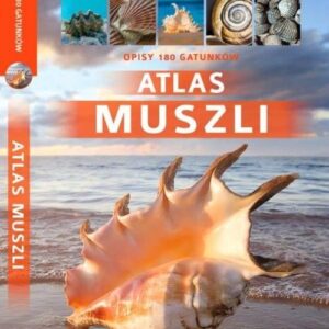 Atlas muszli