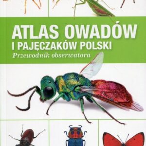 Atlas owadów i pajęczaków Polski. Przewodnik obserwatora