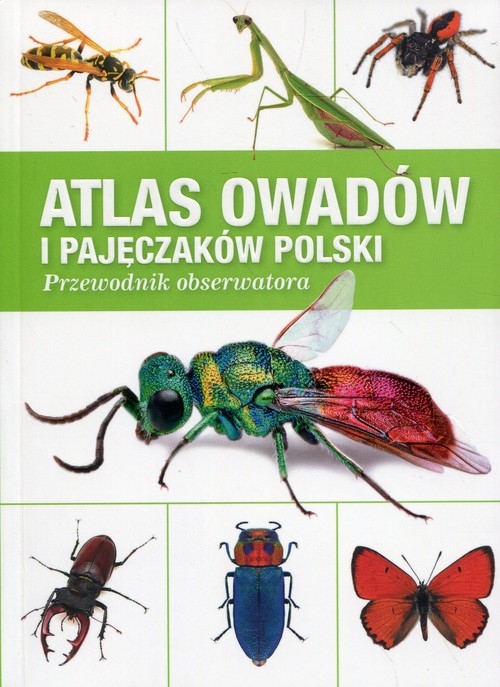 Atlas owadów i pajęczaków Polski. Przewodnik obserwatora