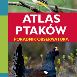 Atlas ptaków Poradnik obserwatora