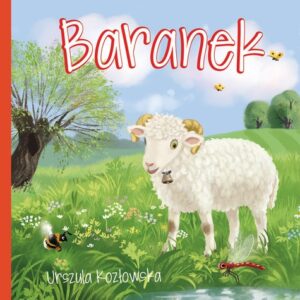 Baranek