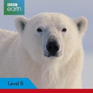 BBC Amazing predators Ladybird Readers Level 6