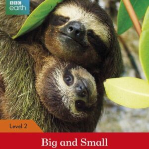 BBC Earth: Big and Small Activity Book