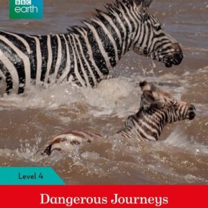 BBC Earth: Dangerous Journeys