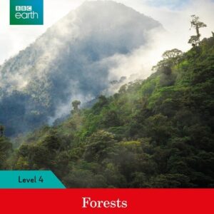 BBC Earth: Forests Activity Book