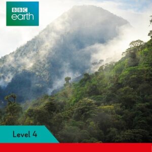 BBC Earth: Forests- Ladybird