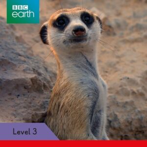 BBC Earth: Where Animals Live