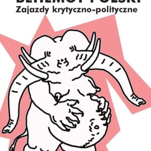 Behemot polski. Zajazdy krytyczno-polityczne