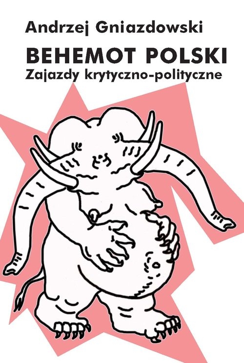 Behemot polski. Zajazdy krytyczno-polityczne