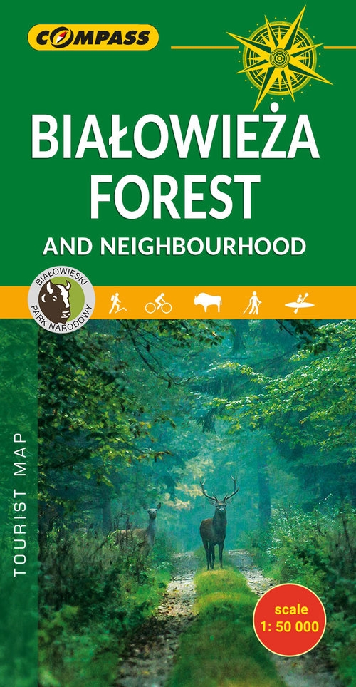 Białowieża Forest