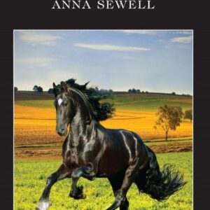 Black Beauty A