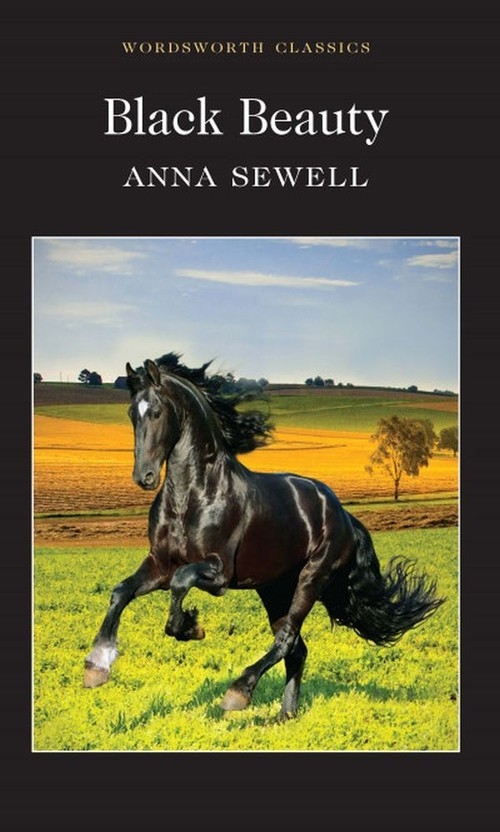 Black Beauty A