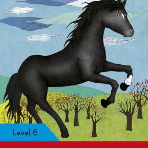 Black Beauty Ladybird Readers Level 6
