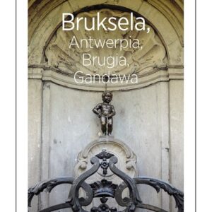 Bruksela Antwerpia Brugia Gandawa Travelbook