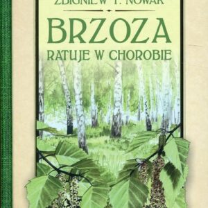 Brzoza ratuje w chorobie
