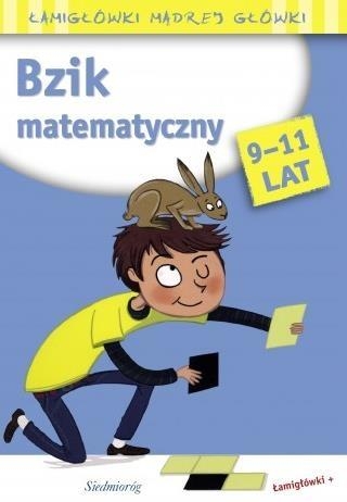 Bzik matematyczny. Łamigłówki mądrej główki