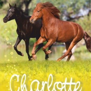 Charlotte i druga szansa