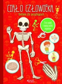 Ciało człowieka. Anatomia dla początkujących. Złóż model i zbadaj ludzki organizm