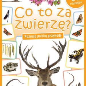 Co to za zwierzę?