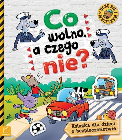 Co wolno, a czego nie. Książka o bezpieczeństwie dla dzieci z naklejkami
