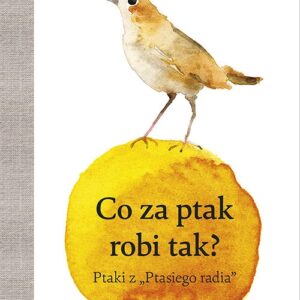 Co za ptak robi tak
