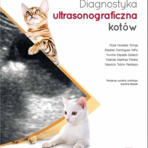 Diagnostyka ultrasonograficzna kotów
