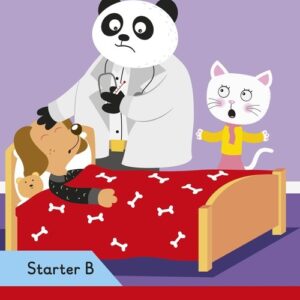Doctor Panda - Ladybird Readers